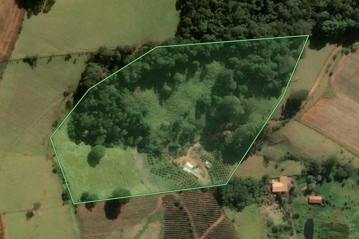 Imagem de satélite do imóvel rural em Divinolândia (SP), com o contorno declarado no CAR desenhado por cima.