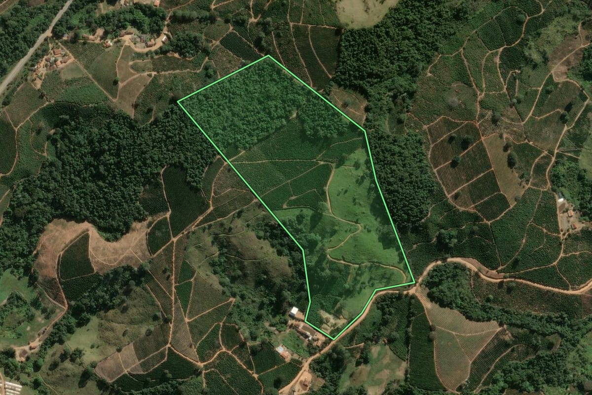 Imagem de satélite do imóvel rural em Divinolândia (SP), com o contorno declarado no CAR desenhado por cima.