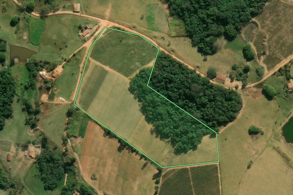 Imagem de satélite do imóvel rural em Divinolândia (SP), com o contorno declarado no CAR desenhado por cima.