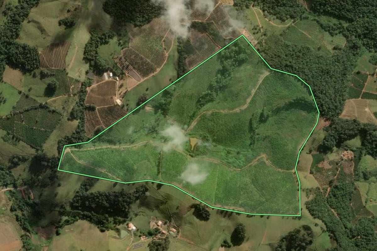 Imagem de satélite do imóvel rural em Divinolândia (SP), com o contorno declarado no CAR desenhado por cima.