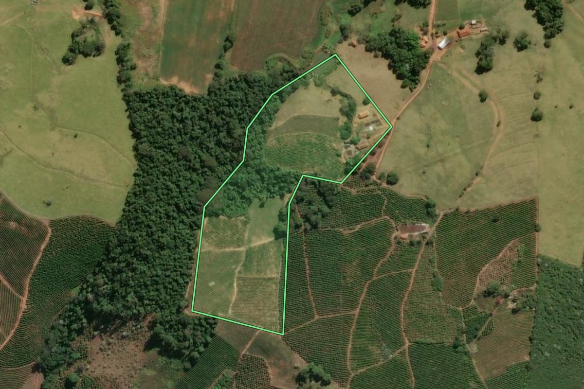 Imagem de satélite do imóvel rural em Divinolândia (SP), com o contorno declarado no CAR desenhado por cima.