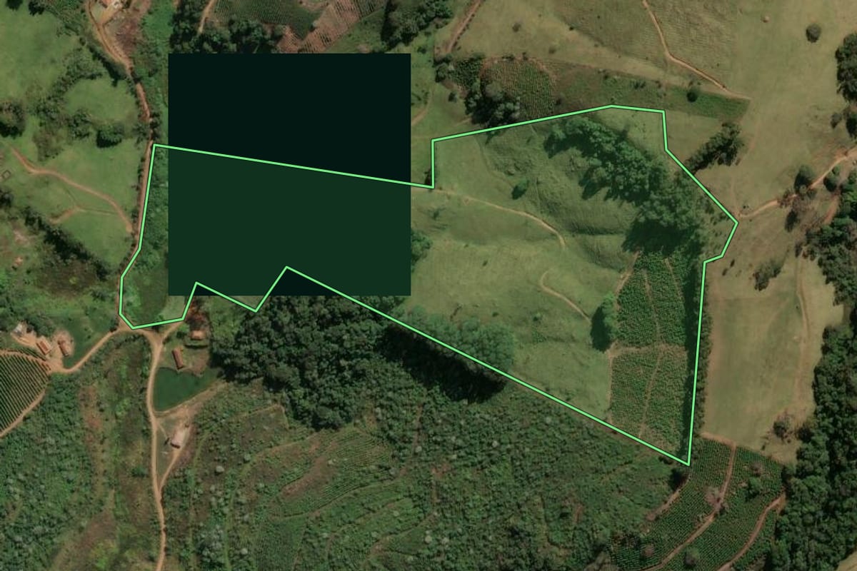Imagem de satélite do imóvel rural em Divinolândia (SP), com o contorno declarado no CAR desenhado por cima.