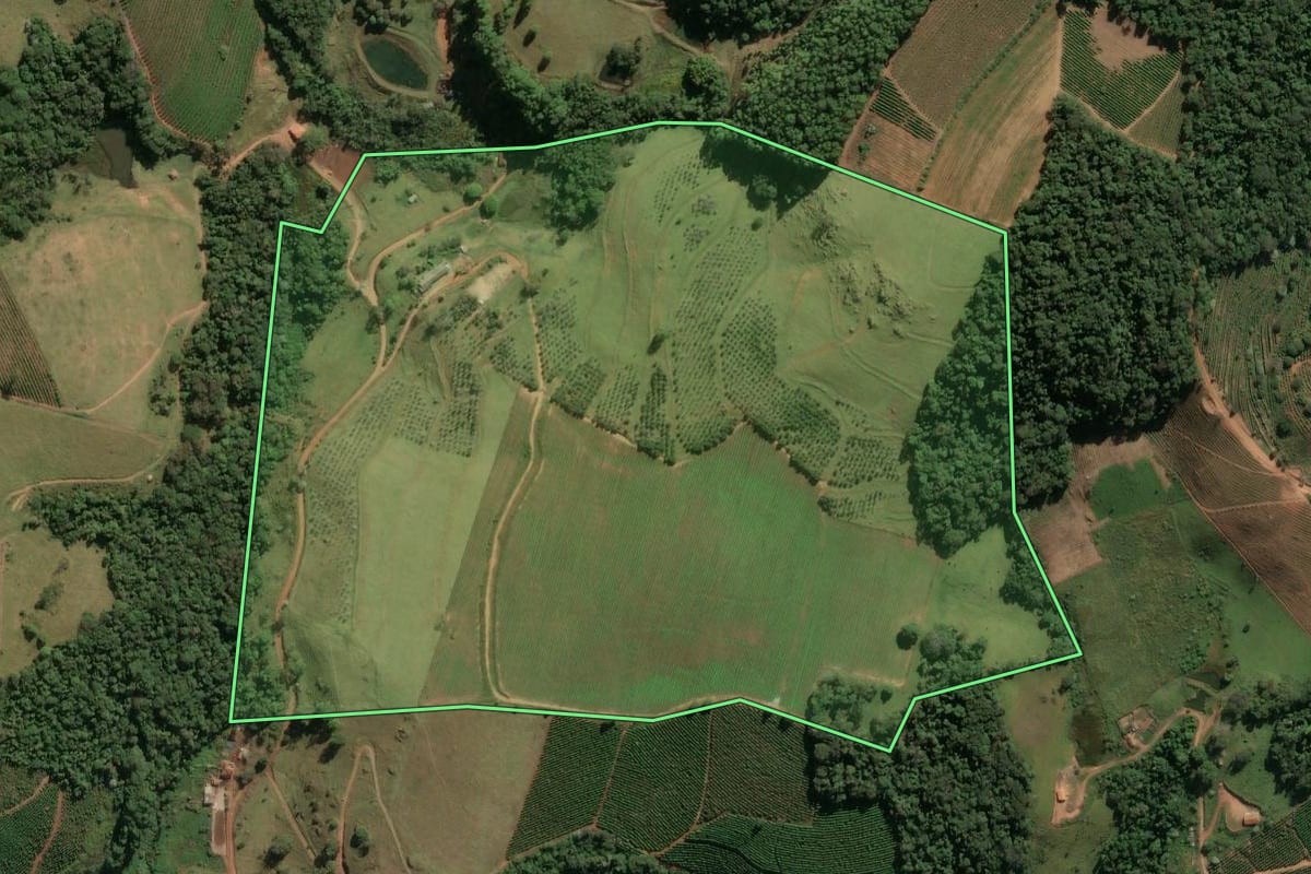 Imagem de satélite do imóvel rural em Divinolândia (SP), com o contorno declarado no CAR desenhado por cima.