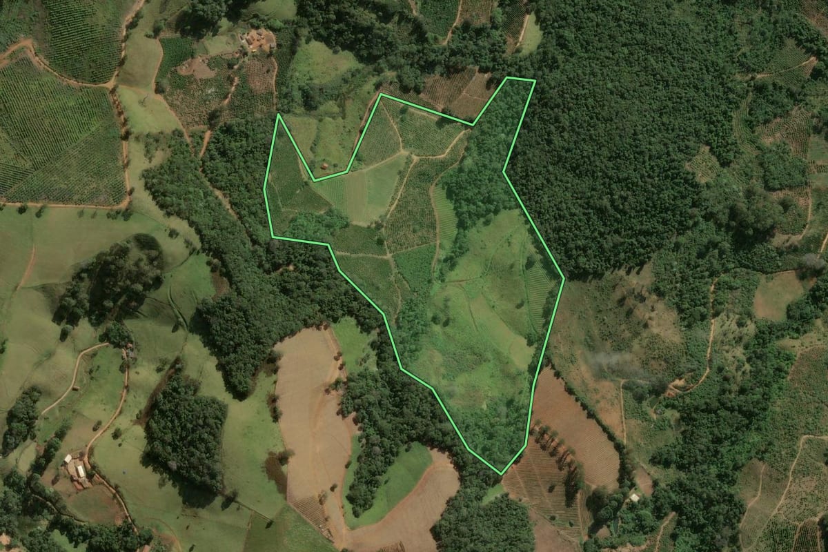 Imagem de satélite do imóvel rural em Divinolândia (SP), com o contorno declarado no CAR desenhado por cima.