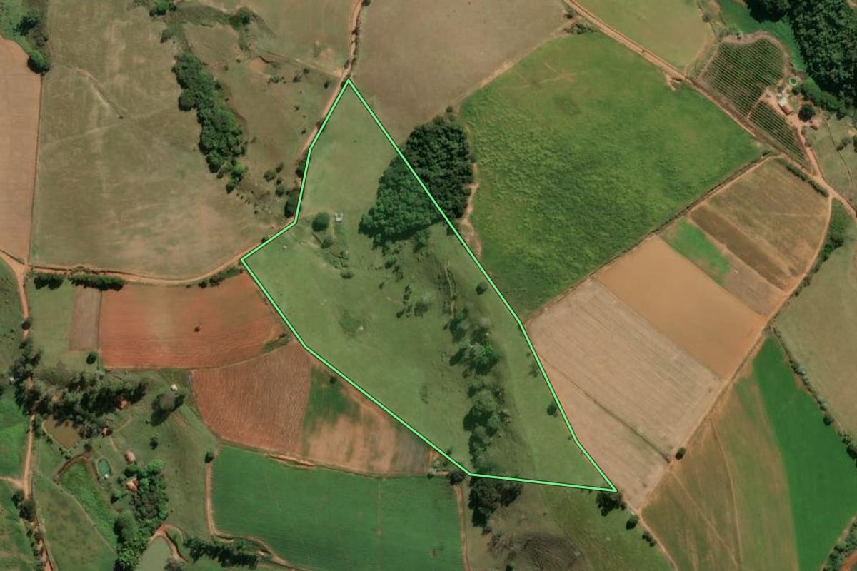 Imagem de satélite do imóvel rural em Divinolândia (SP), com o contorno declarado no CAR desenhado por cima.