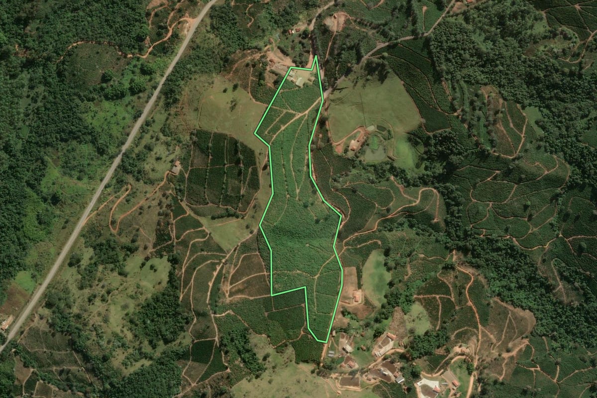 Imagem de satélite do imóvel rural em Divinolândia (SP), com o contorno declarado no CAR desenhado por cima.