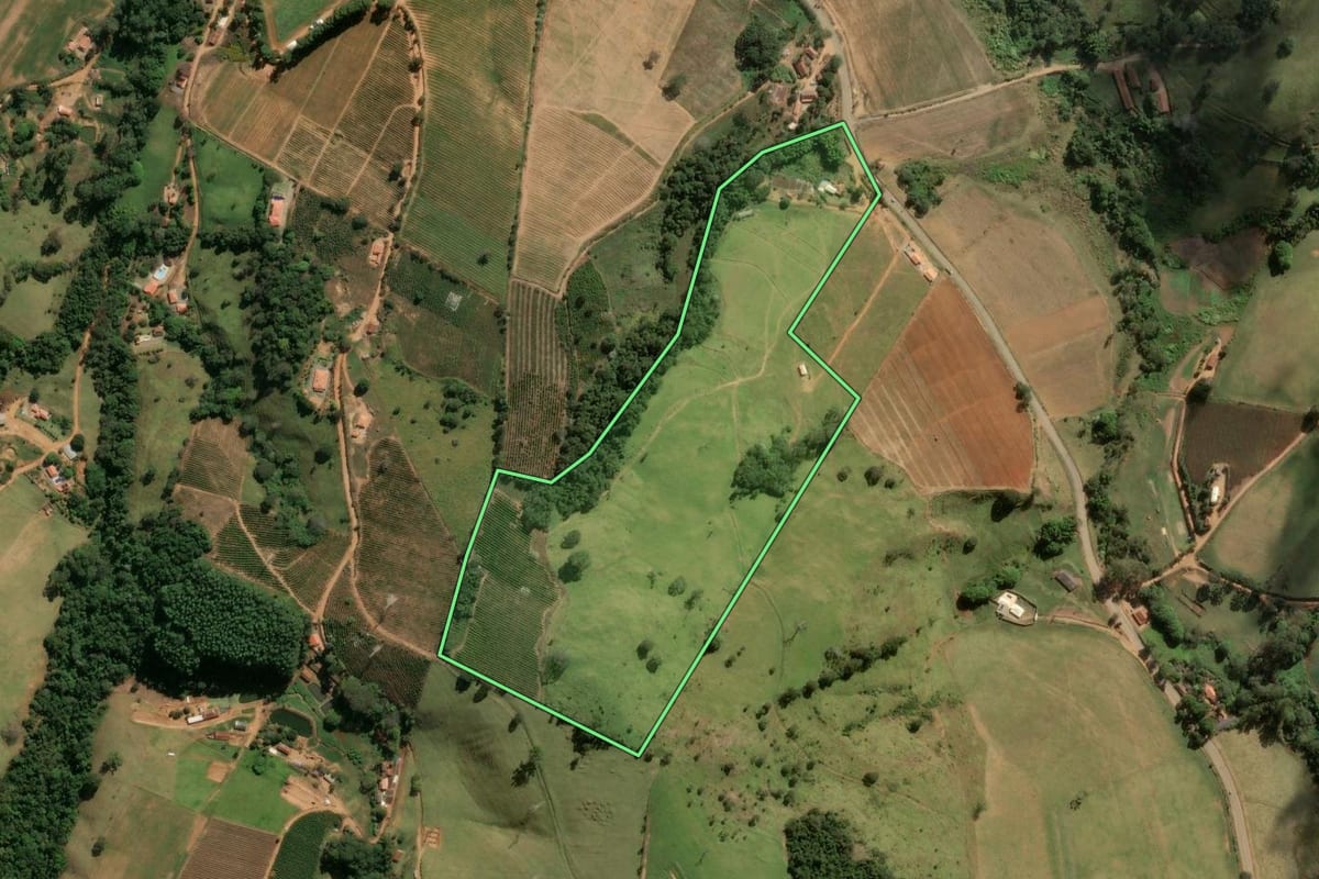 Imagem de satélite do imóvel rural em Divinolândia (SP), com o contorno declarado no CAR desenhado por cima.