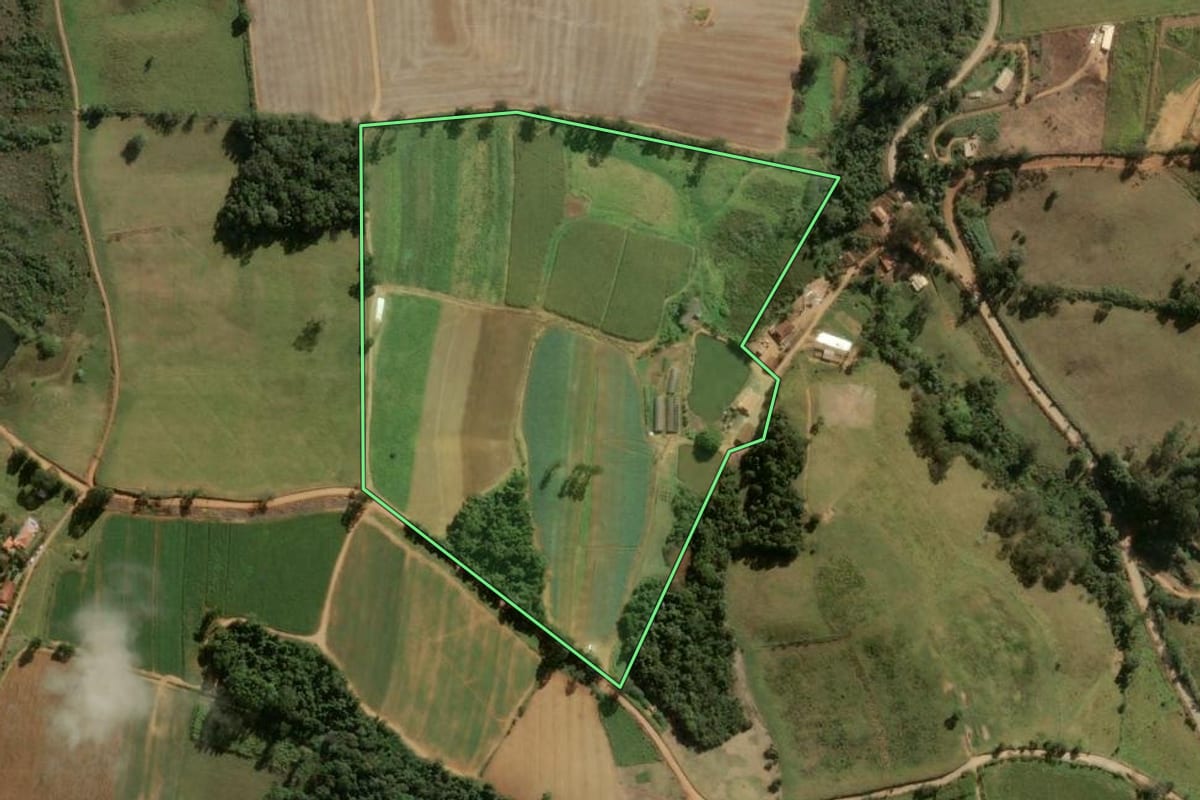 Imagem de satélite do imóvel rural em Divinolândia (SP), com o contorno declarado no CAR desenhado por cima.