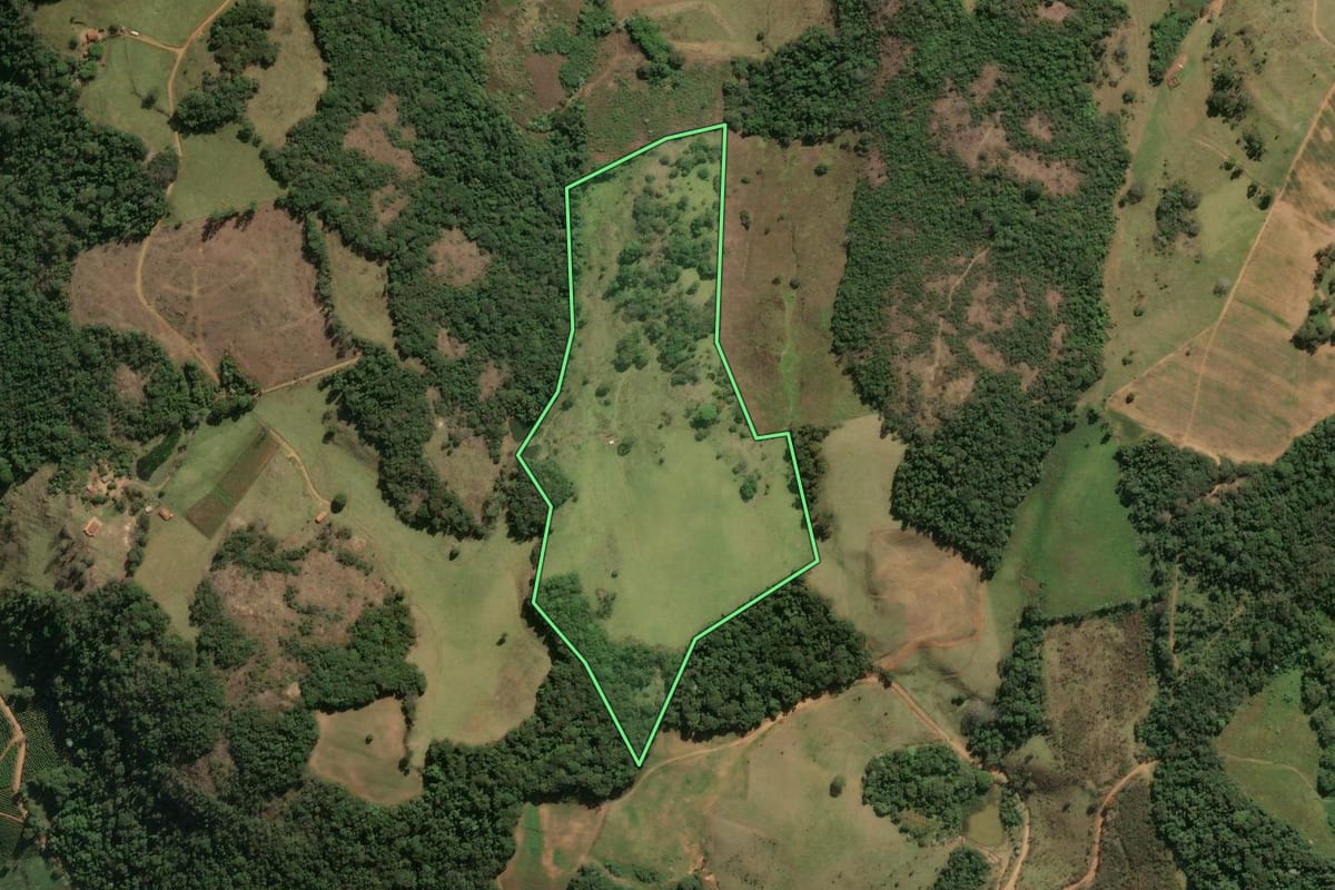 Imagem de satélite do imóvel rural em Divinolândia (SP), com o contorno declarado no CAR desenhado por cima.