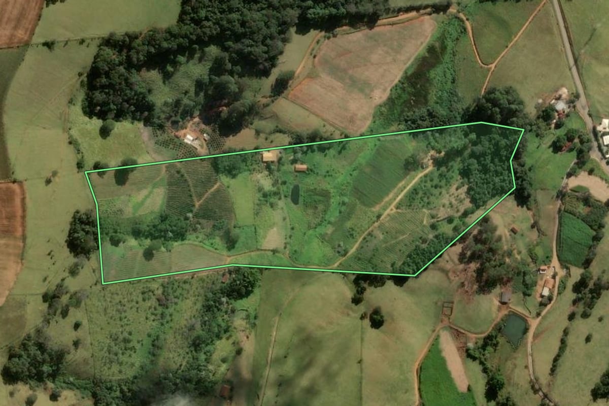 Imagem de satélite do imóvel rural em Divinolândia (SP), com o contorno declarado no CAR desenhado por cima.