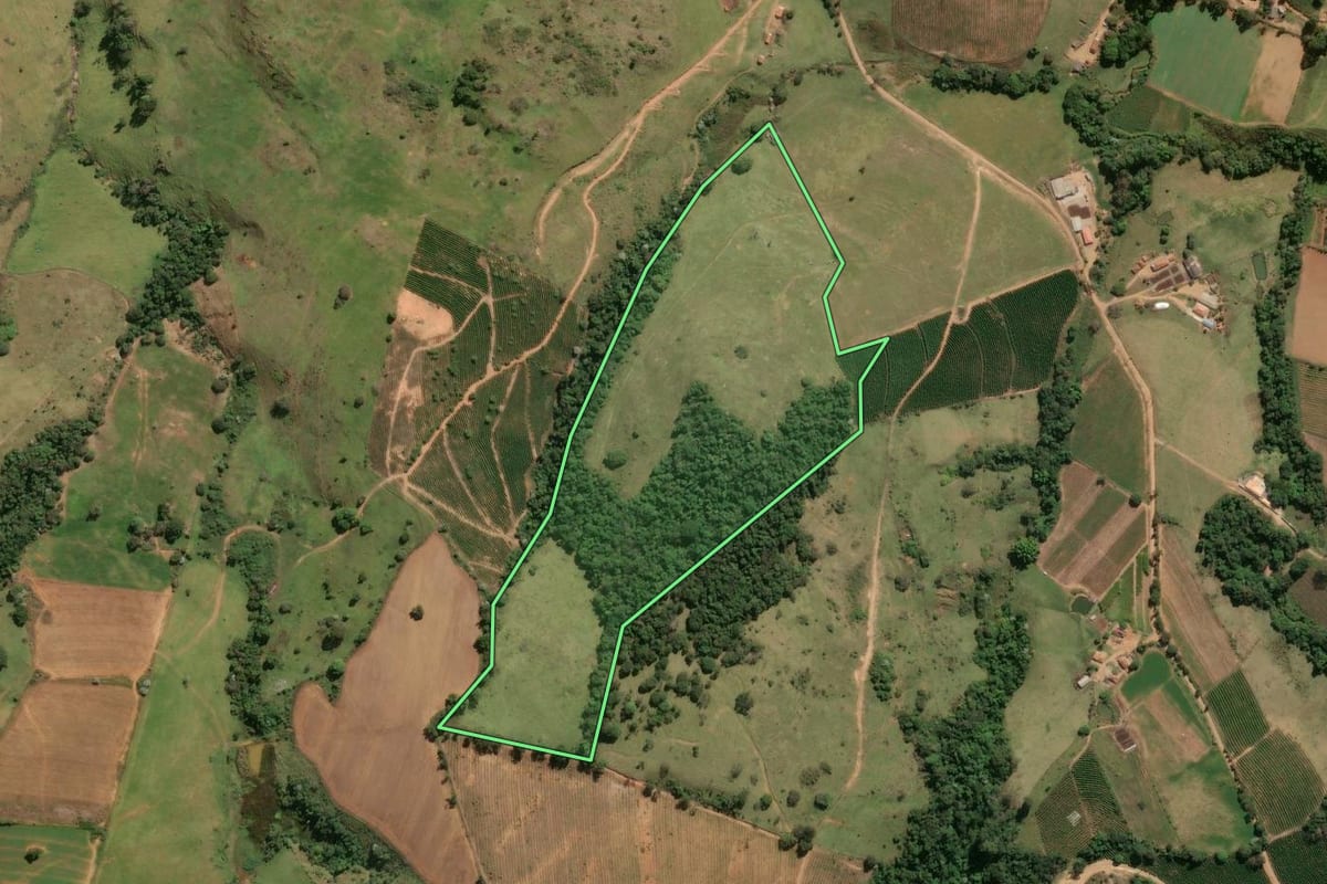 Imagem de satélite do imóvel rural em Divinolândia (SP), com o contorno declarado no CAR desenhado por cima.