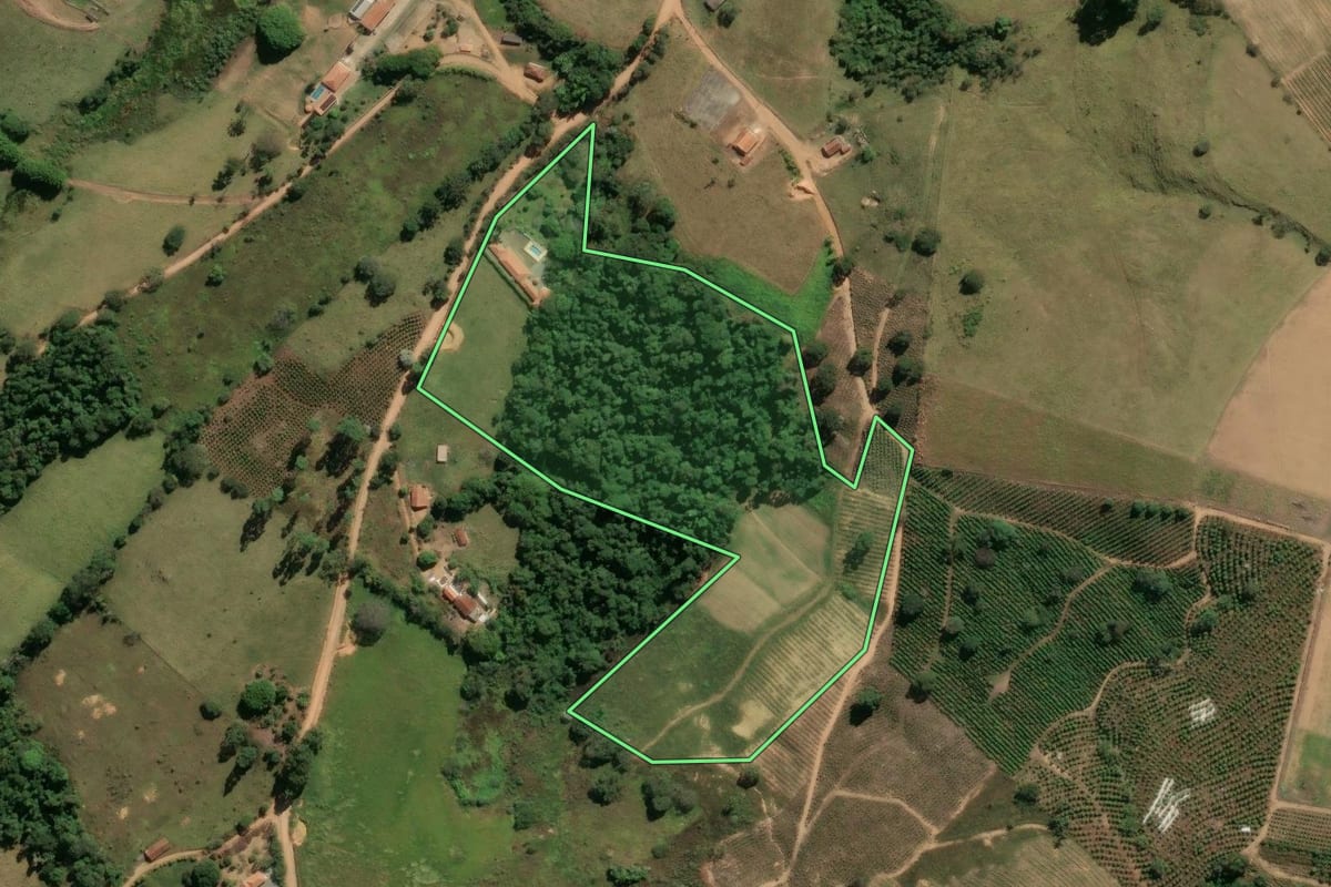 Imagem de satélite do imóvel rural em Divinolândia (SP), com o contorno declarado no CAR desenhado por cima.