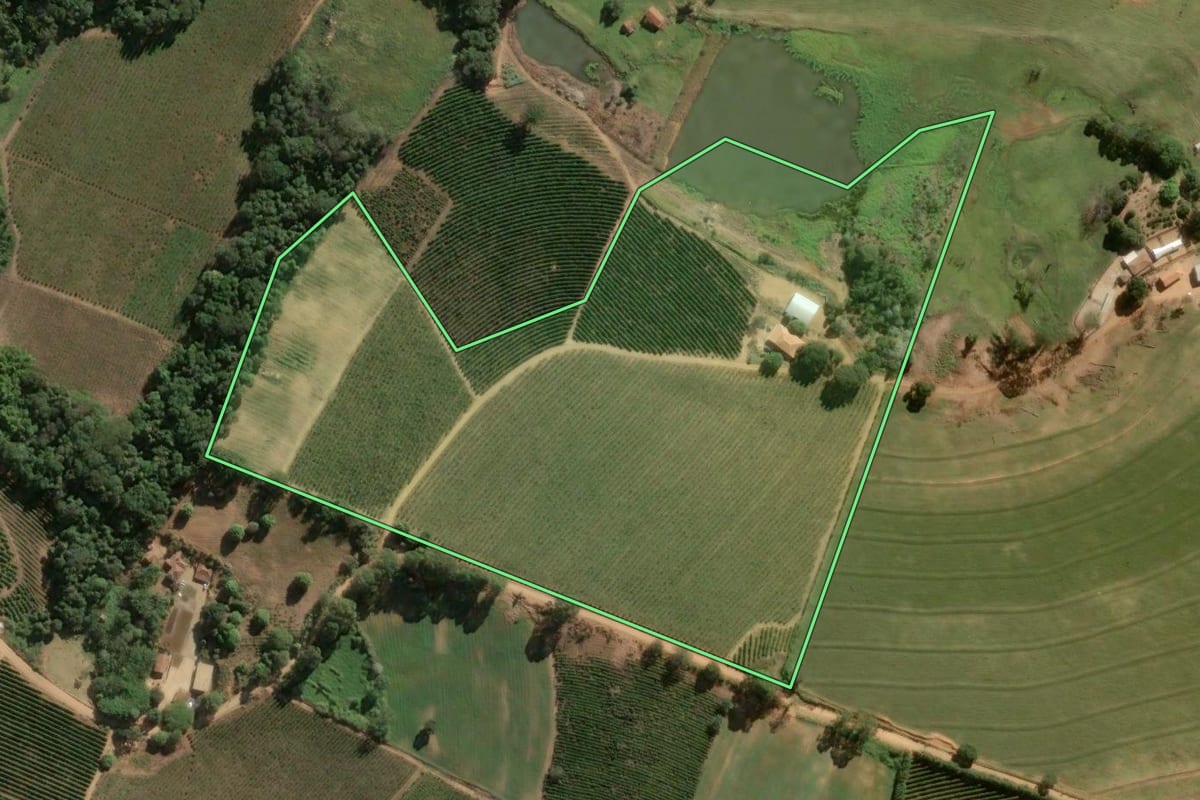 Imagem de satélite do imóvel rural em Divinolândia (SP), com o contorno declarado no CAR desenhado por cima.