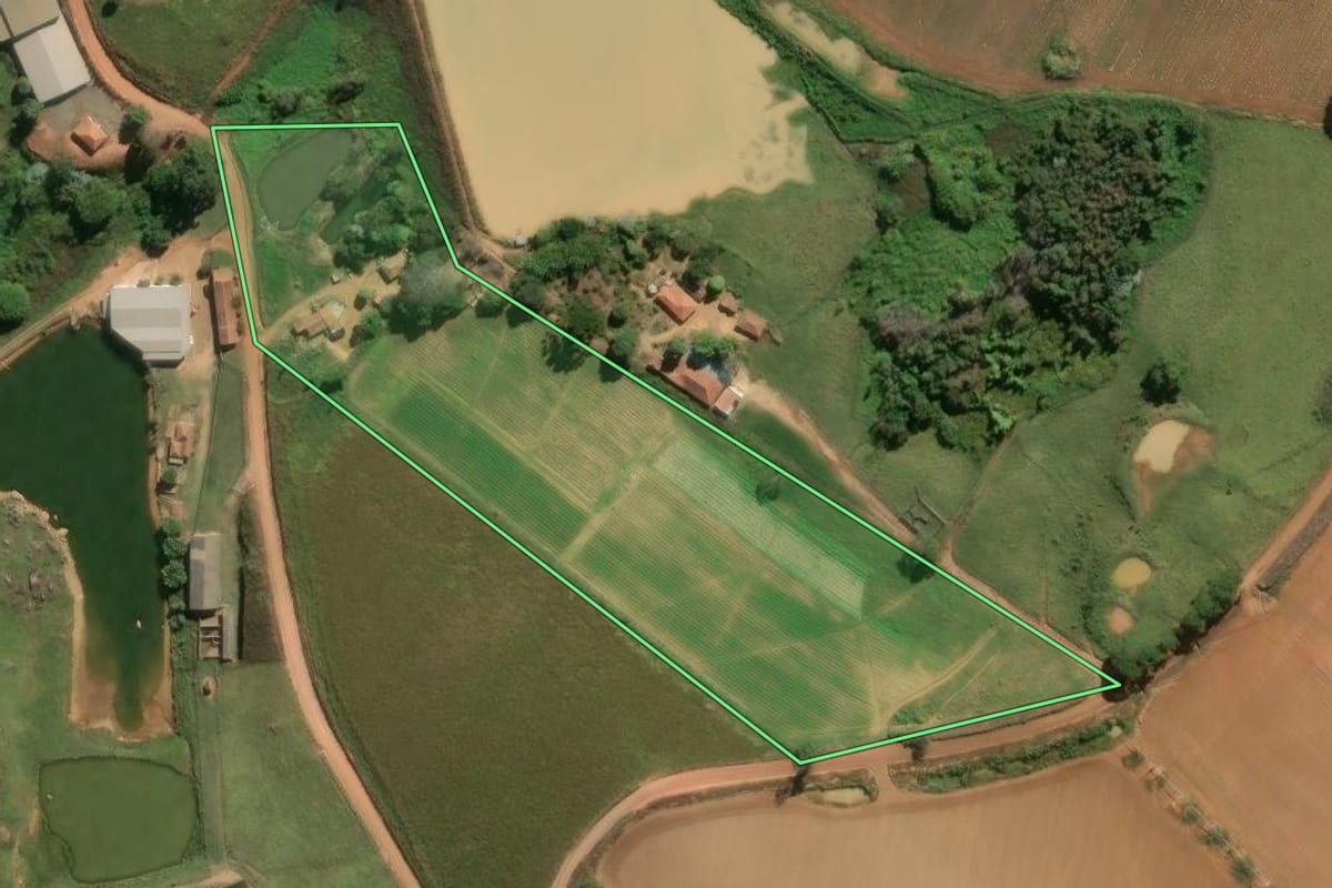 Imagem de satélite do imóvel rural em Divinolândia (SP), com o contorno declarado no CAR desenhado por cima.