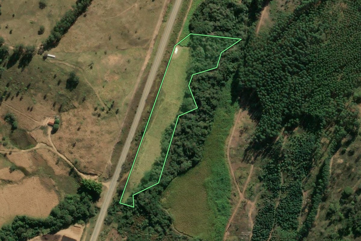 Imagem de satélite do imóvel rural em Divinolândia (SP), com o contorno declarado no CAR desenhado por cima.