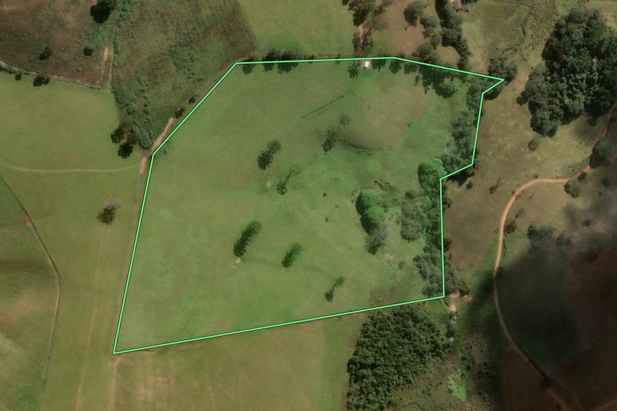 Imagem de satélite do imóvel rural em Divinolândia (SP), com o contorno declarado no CAR desenhado por cima.