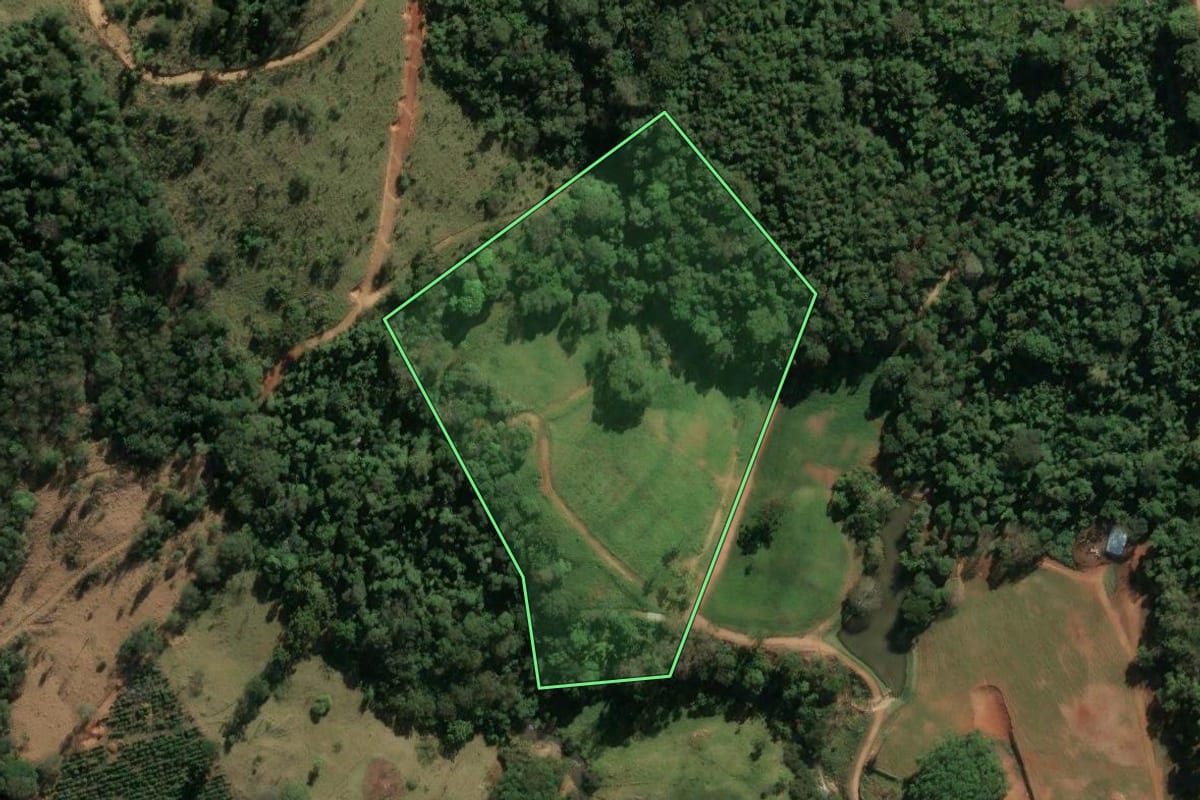 Imagem de satélite do imóvel rural em Divinolândia (SP), com o contorno declarado no CAR desenhado por cima.