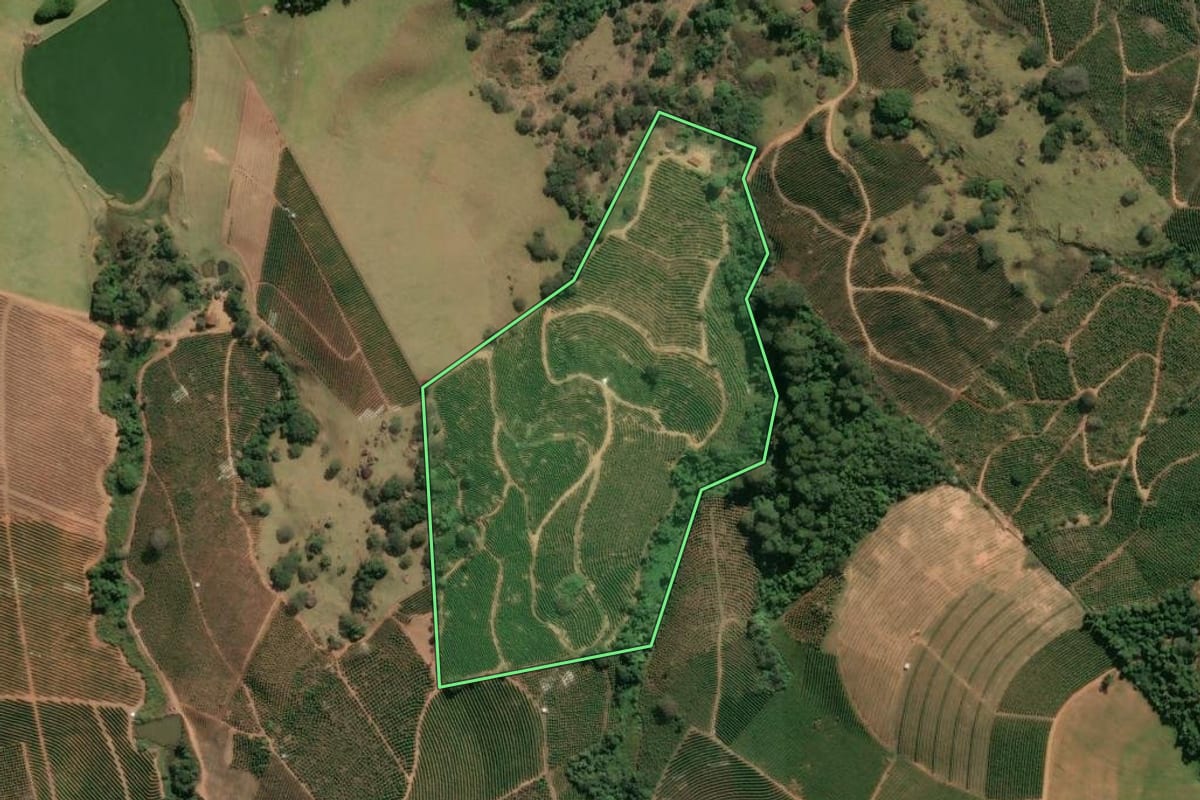 Imagem de satélite do imóvel rural em Divinolândia (SP), com o contorno declarado no CAR desenhado por cima.