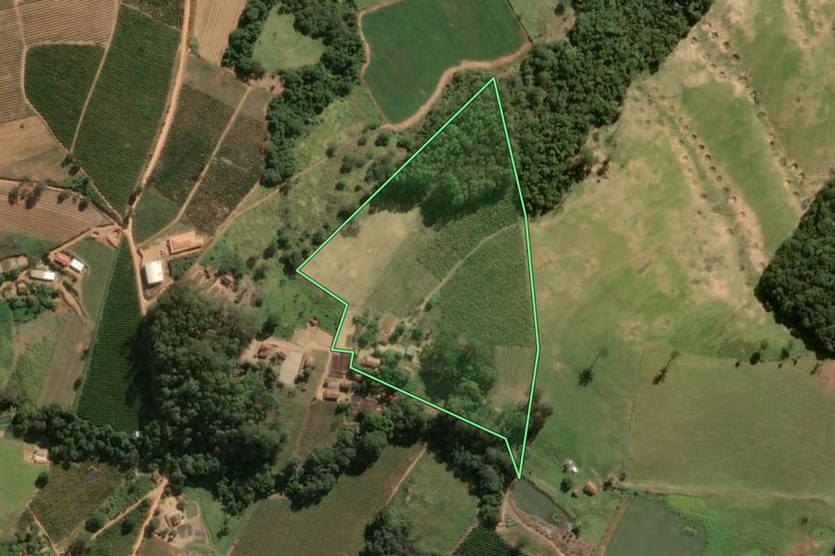 Imagem de satélite do imóvel rural em Divinolândia (SP), com o contorno declarado no CAR desenhado por cima.