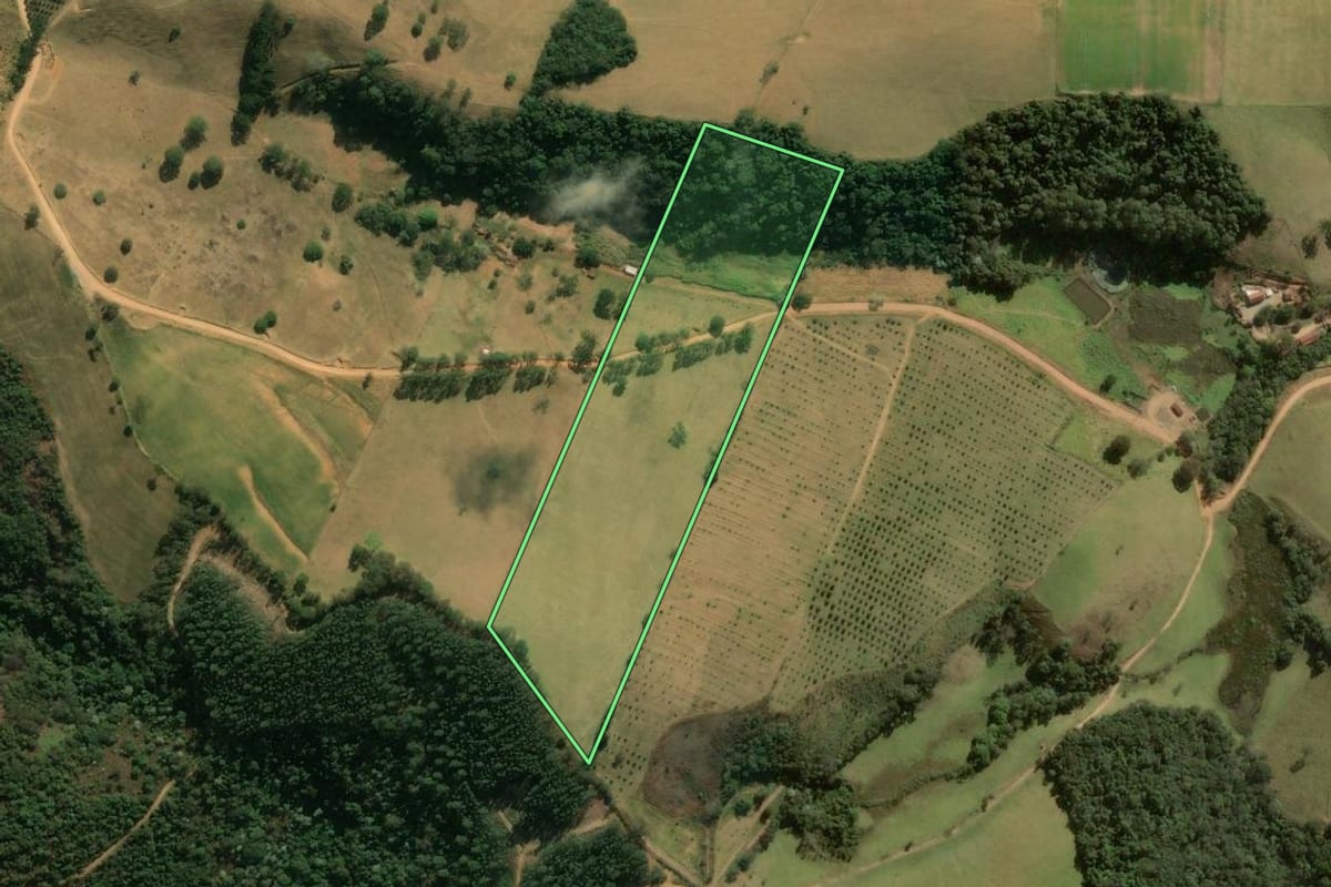Imagem de satélite do imóvel rural em Divinolândia (SP), com o contorno declarado no CAR desenhado por cima.