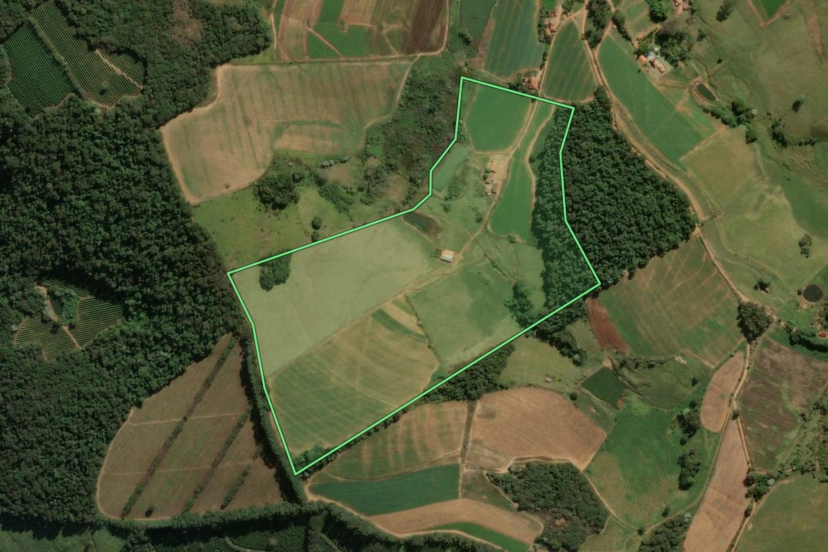 Imagem de satélite do imóvel rural em Divinolândia (SP), com o contorno declarado no CAR desenhado por cima.