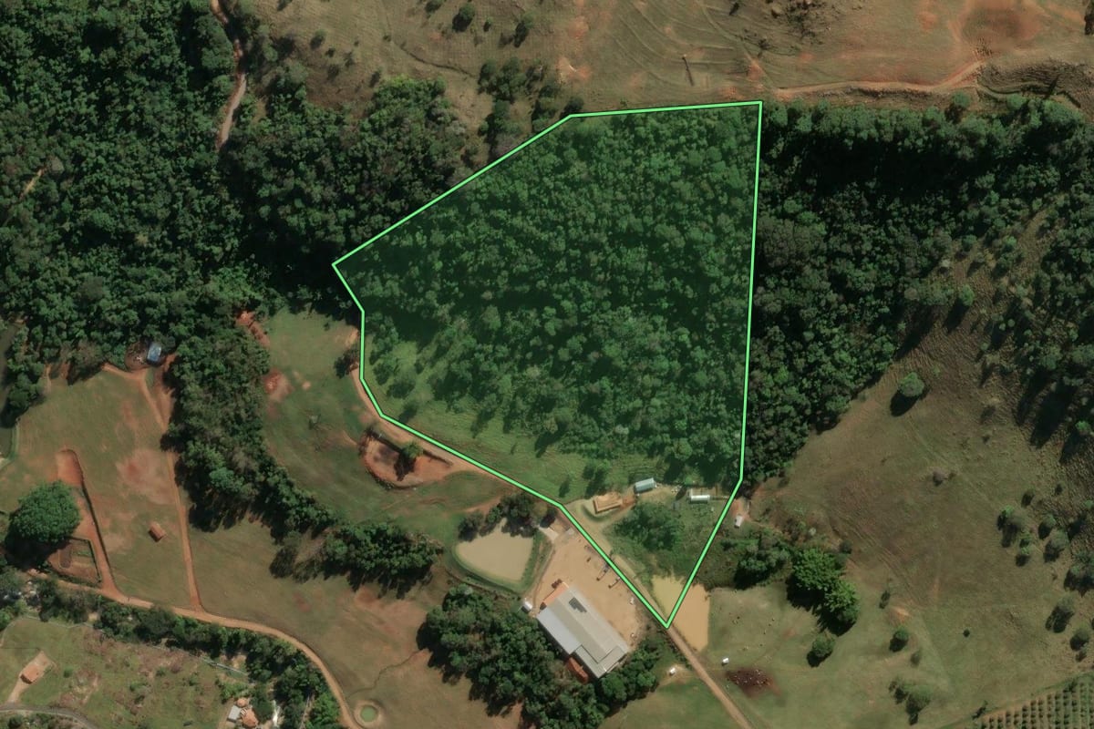 Imagem de satélite do imóvel rural em Divinolândia (SP), com o contorno declarado no CAR desenhado por cima.