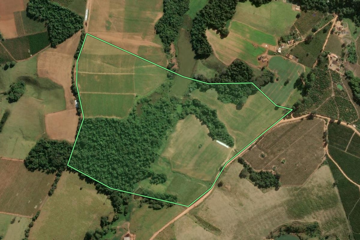 Imagem de satélite do imóvel rural em Divinolândia (SP), com o contorno declarado no CAR desenhado por cima.