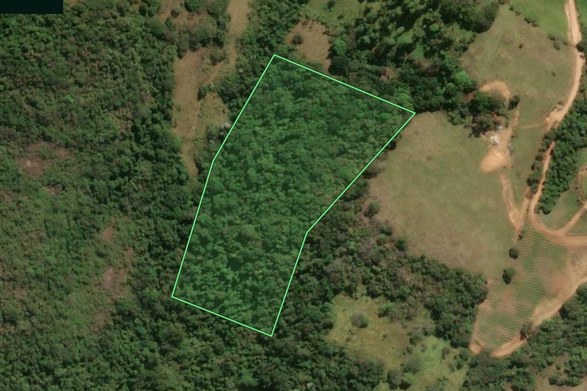 Imagem de satélite do imóvel rural em Divinolândia (SP), com o contorno declarado no CAR desenhado por cima.