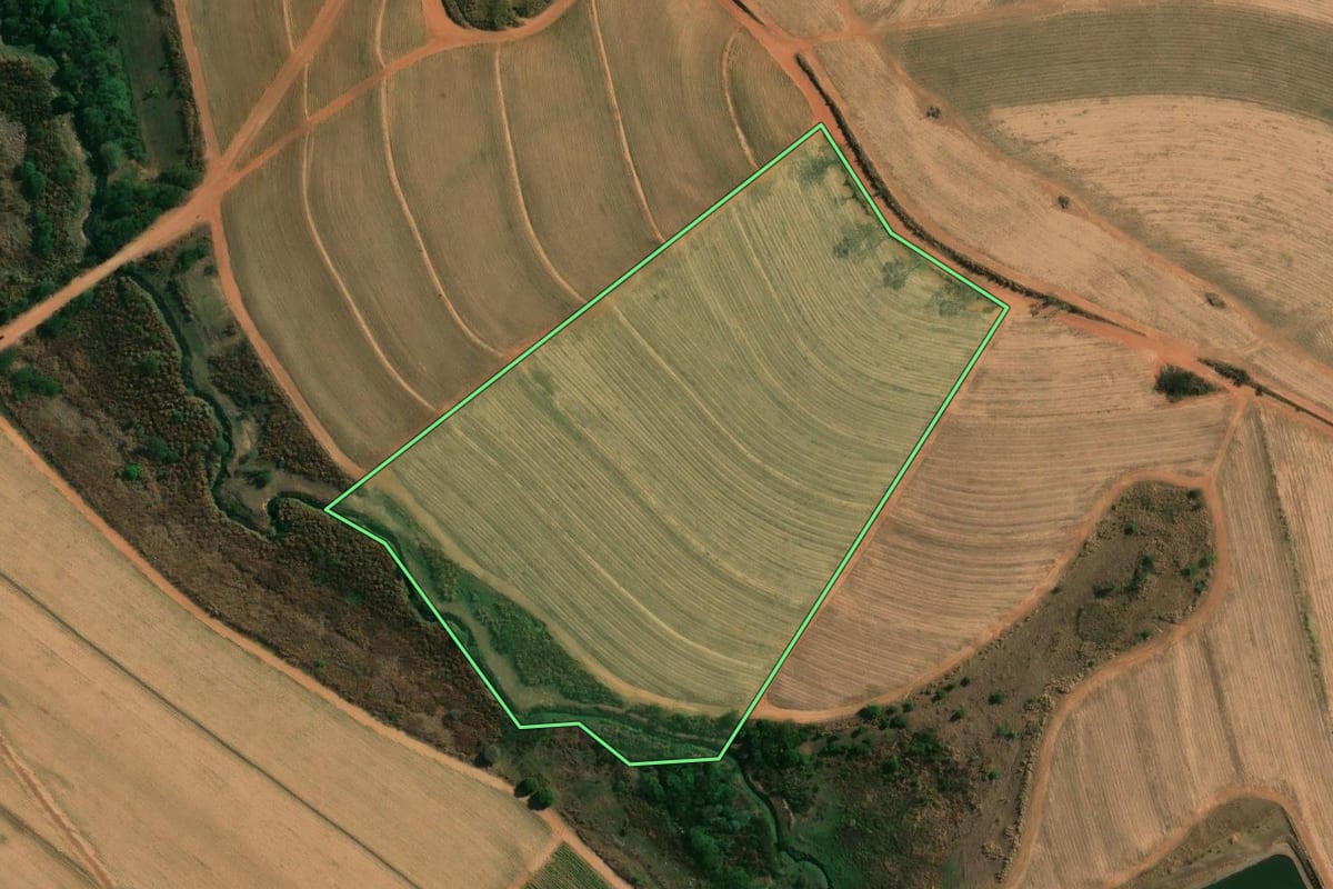 Imagem de satélite do imóvel rural em Dobrada (SP), com o contorno declarado no CAR desenhado por cima.