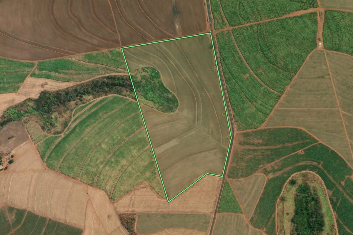 Imagem de satélite do imóvel rural em Dobrada (SP), com o contorno declarado no CAR desenhado por cima.