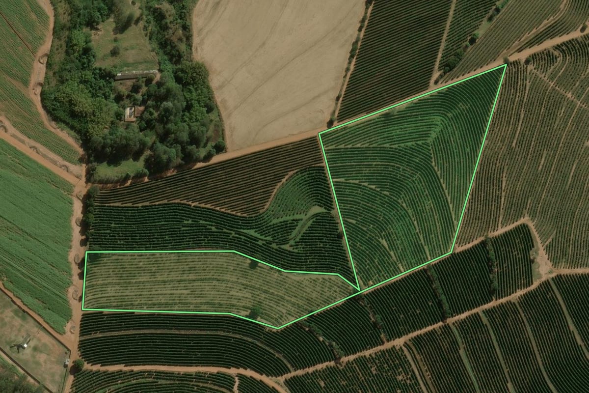 Imagem de satélite do imóvel rural em Dois Córregos (SP), com o contorno declarado no CAR desenhado por cima.