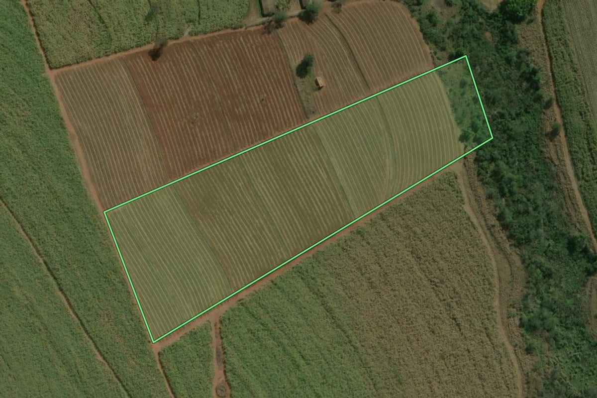 Imagem de satélite do imóvel rural em Dois Córregos (SP), com o contorno declarado no CAR desenhado por cima.