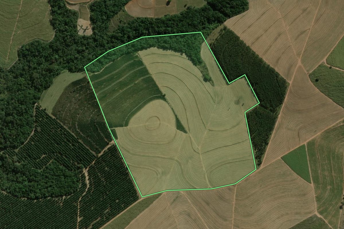 Imagem de satélite do imóvel rural em Dois Córregos (SP), com o contorno declarado no CAR desenhado por cima.