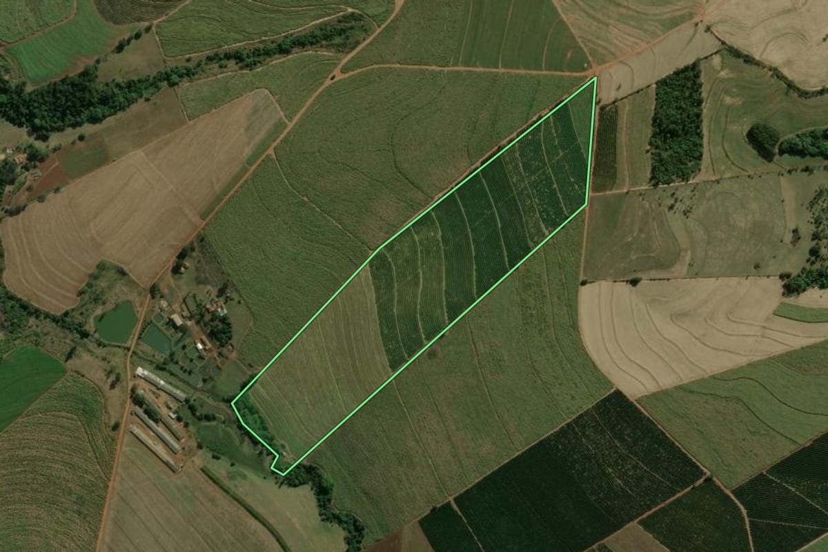 Imagem de satélite do imóvel rural em Dois Córregos (SP), com o contorno declarado no CAR desenhado por cima.