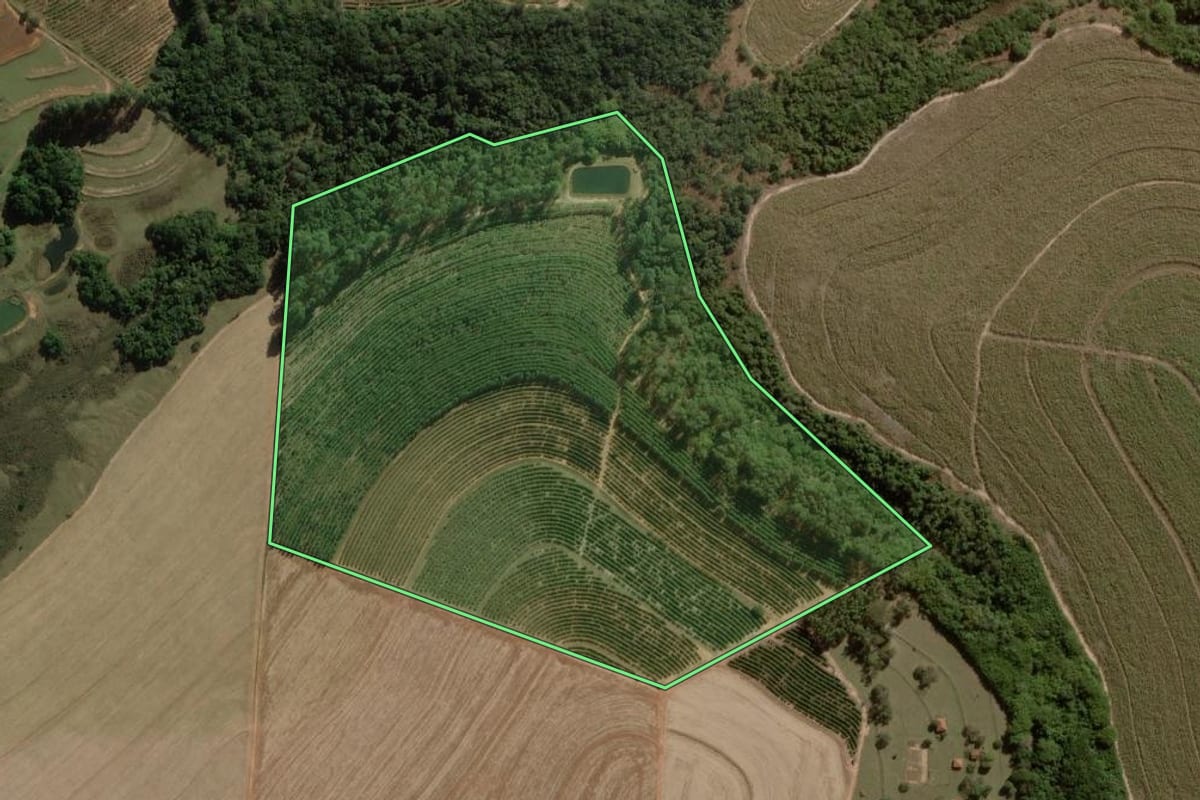 Imagem de satélite do imóvel rural em Dois Córregos (SP), com o contorno declarado no CAR desenhado por cima.