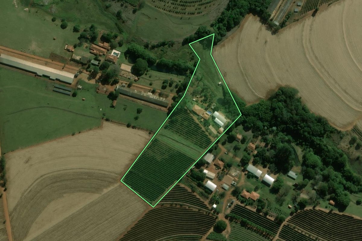 Imagem de satélite do imóvel rural em Dois Córregos (SP), com o contorno declarado no CAR desenhado por cima.