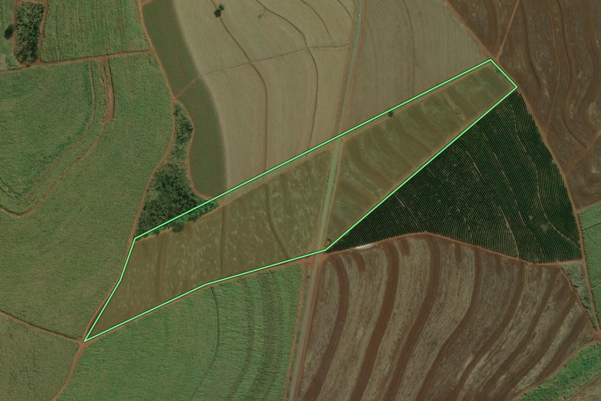 Imagem de satélite do imóvel rural em Dois Córregos (SP), com o contorno declarado no CAR desenhado por cima.