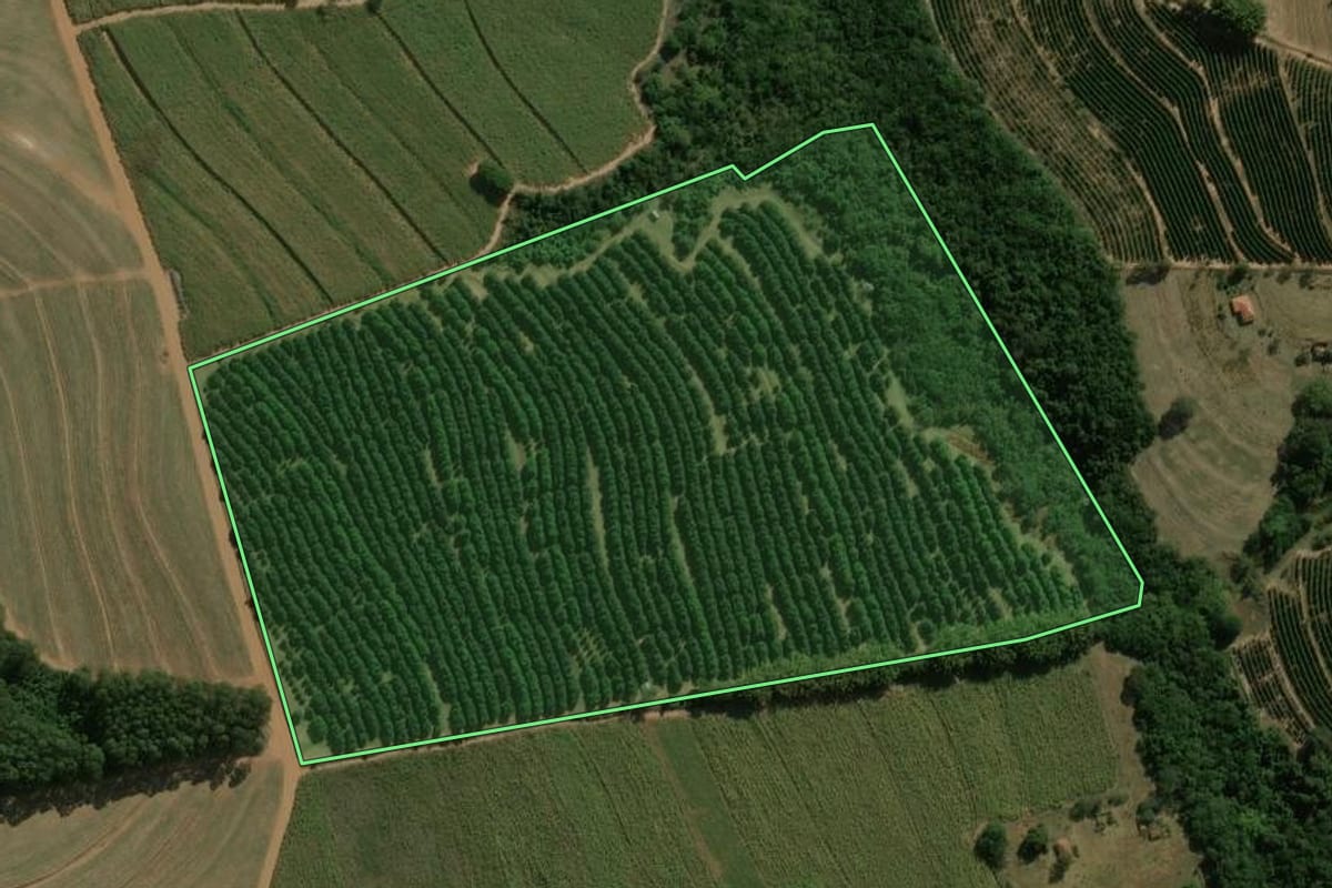 Imagem de satélite do imóvel rural em Dois Córregos (SP), com o contorno declarado no CAR desenhado por cima.