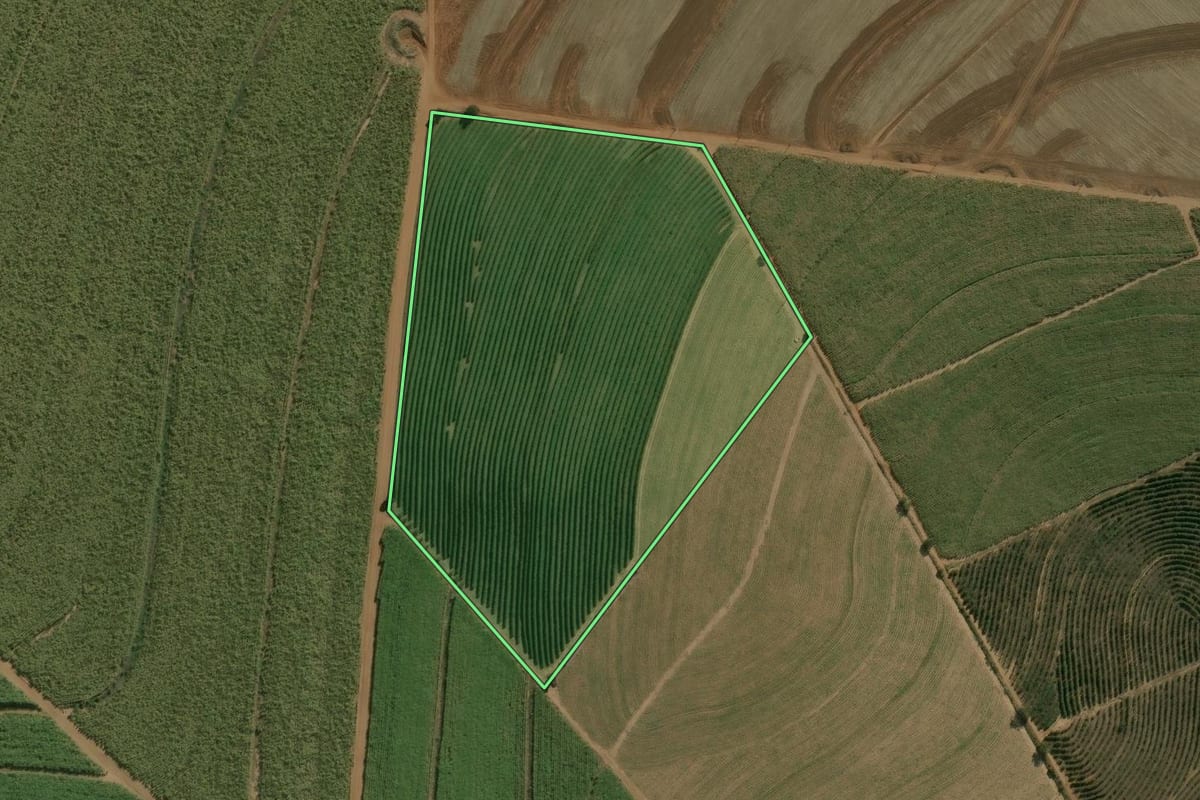 Imagem de satélite do imóvel rural em Dois Córregos (SP), com o contorno declarado no CAR desenhado por cima.