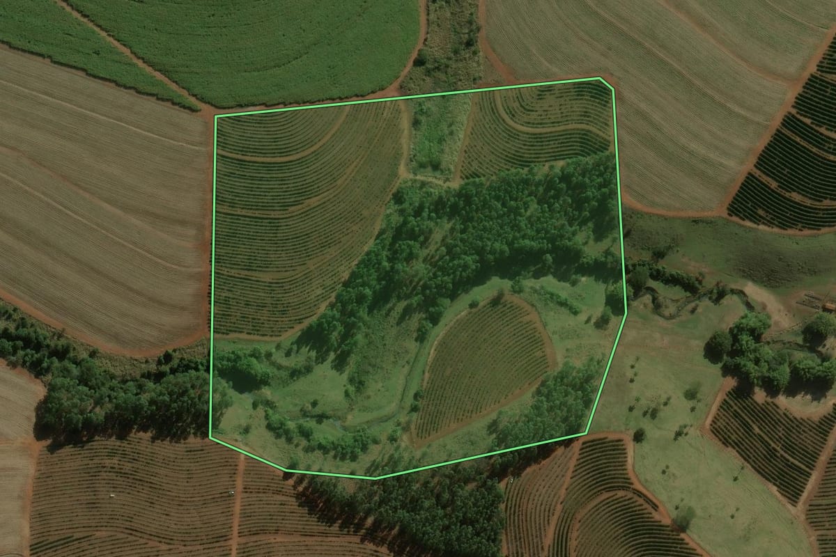 Imagem de satélite do imóvel rural em Dois Córregos (SP), com o contorno declarado no CAR desenhado por cima.