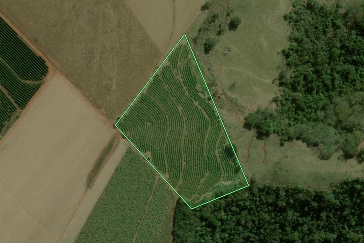 Imagem de satélite do imóvel rural em Dois Córregos (SP), com o contorno declarado no CAR desenhado por cima.