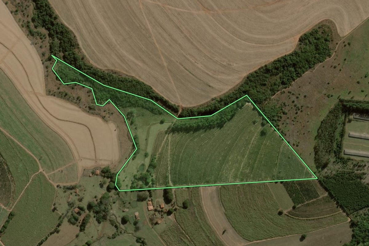 Imagem de satélite do imóvel rural em Brotas (SP), com o contorno declarado no CAR desenhado por cima.