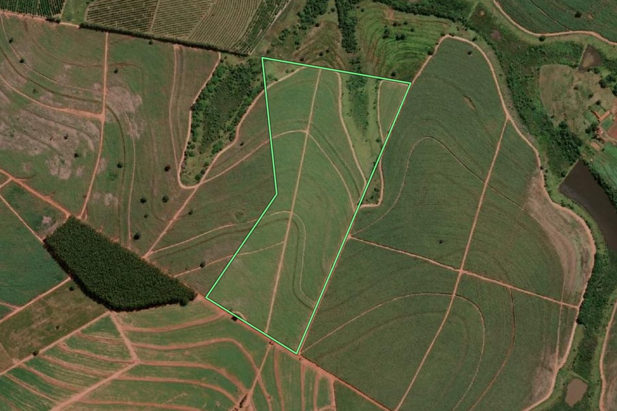 Imagem de satélite do imóvel rural em Dolcinópolis (SP), com o contorno declarado no CAR desenhado por cima.