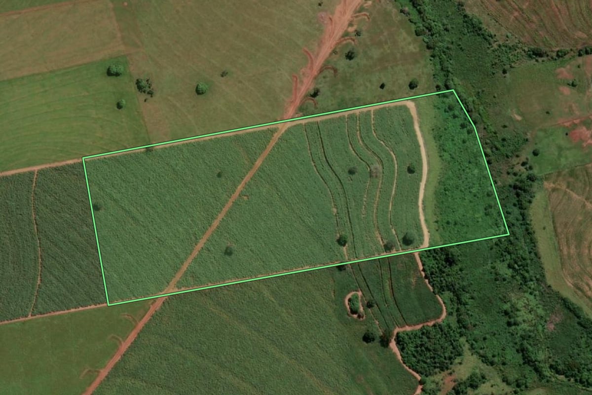 Imagem de satélite do imóvel rural em Dolcinópolis (SP), com o contorno declarado no CAR desenhado por cima.
