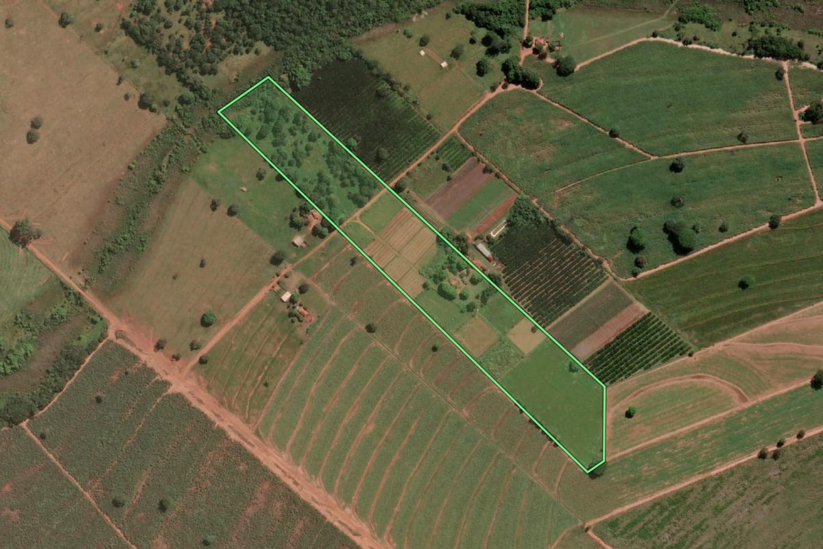 Imagem de satélite do imóvel rural em Dolcinópolis (SP), com o contorno declarado no CAR desenhado por cima.