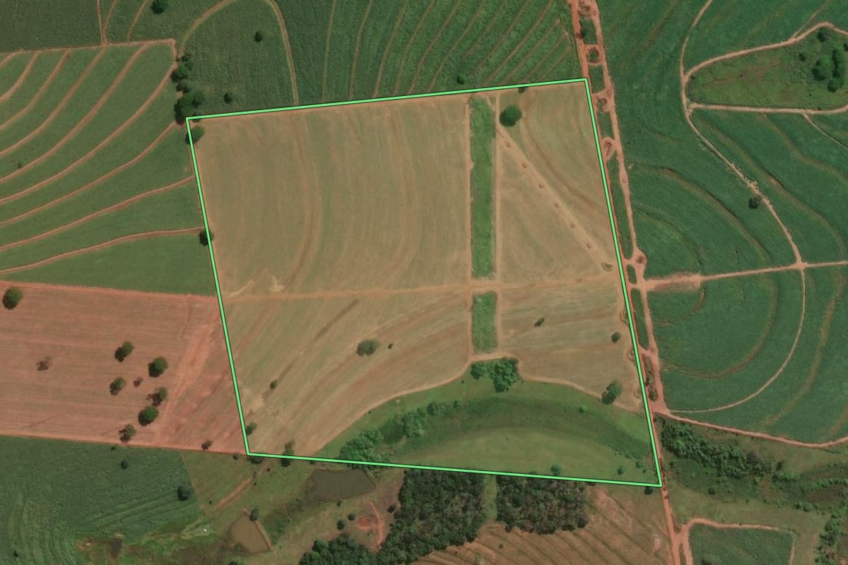 Imagem de satélite do imóvel rural em Dolcinópolis (SP), com o contorno declarado no CAR desenhado por cima.