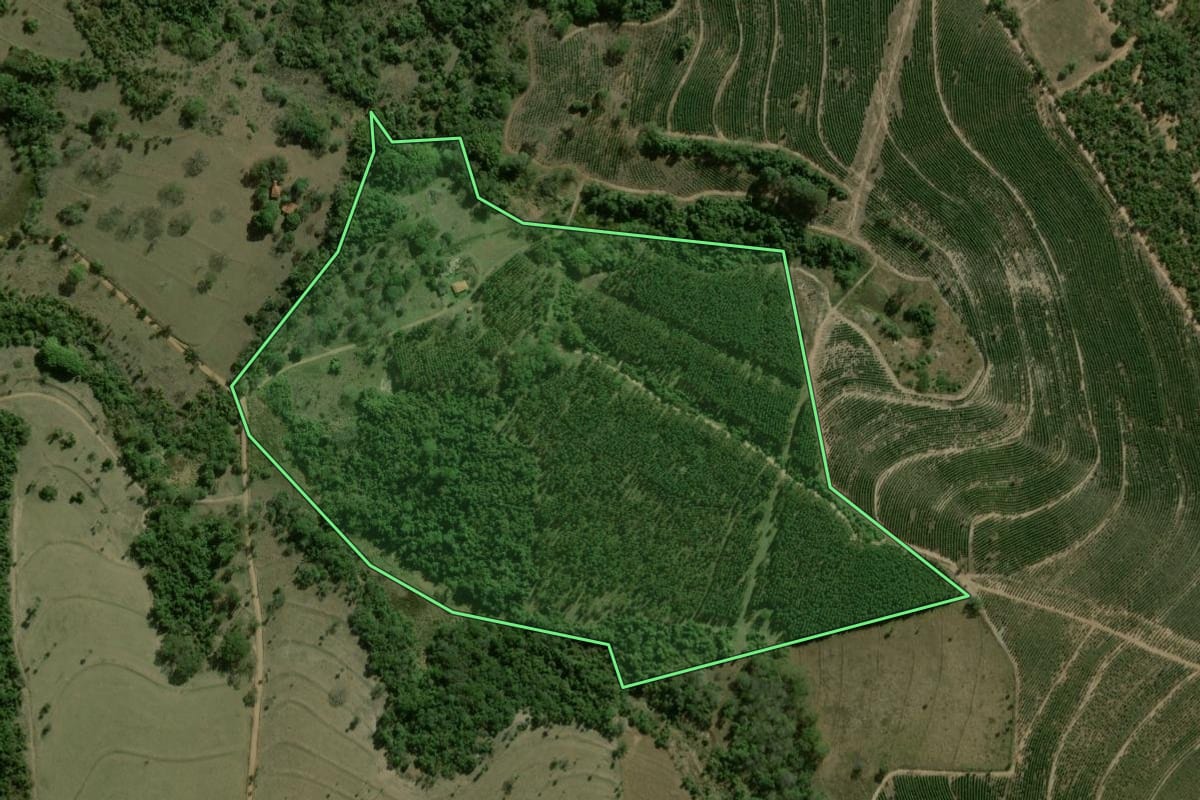 Imagem de satélite do imóvel rural em Dourado (SP), com o contorno declarado no CAR desenhado por cima.