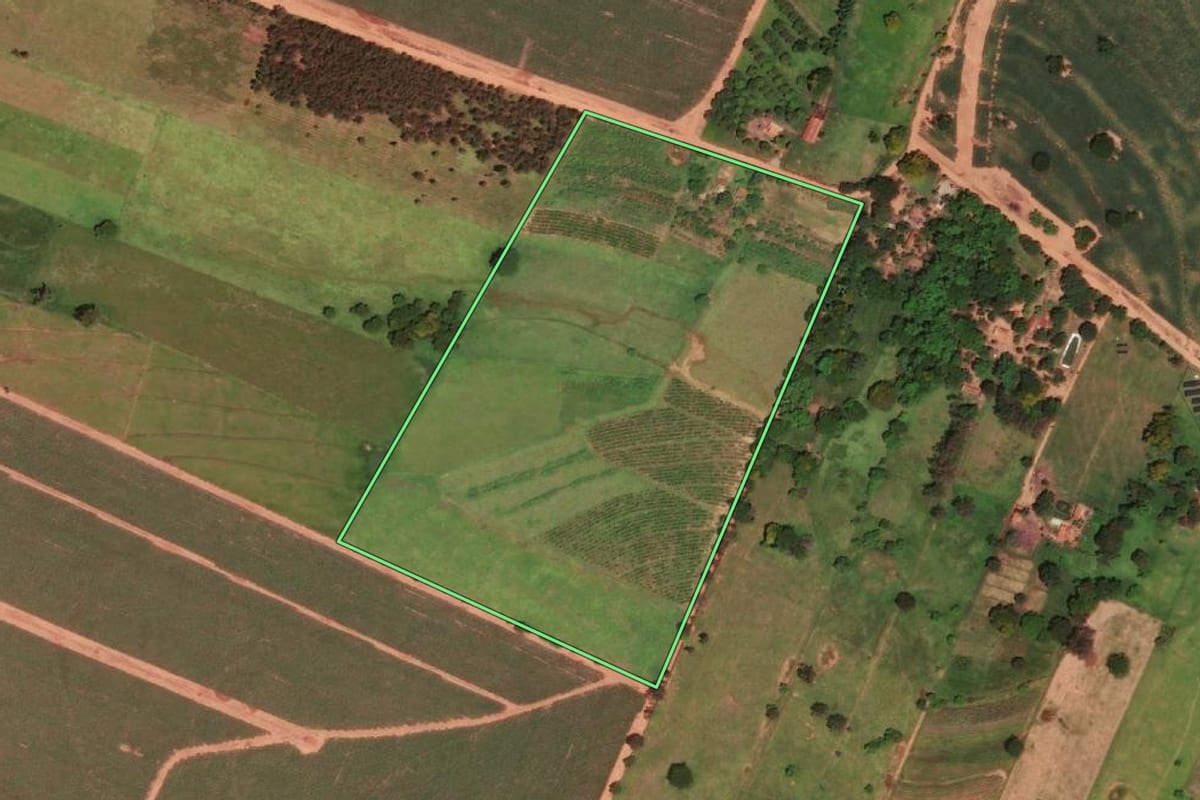 Imagem de satélite do imóvel rural em Dracena (SP), com o contorno declarado no CAR desenhado por cima.