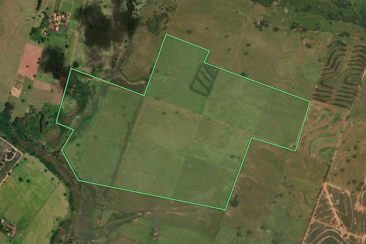 Imagem de satélite do imóvel rural em Dracena (SP), com o contorno declarado no CAR desenhado por cima.