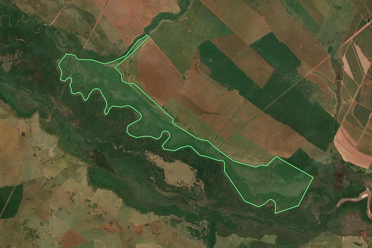 Imagem de satélite do imóvel rural em Dracena (SP), com o contorno declarado no CAR desenhado por cima.